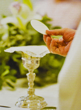 Image de Communion - Calice et Pain de Vie (pic 1)