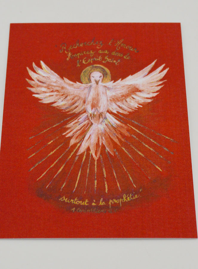 Image de Confirmation Rouge - Colombe de l'Esprit Saint (pic 2)