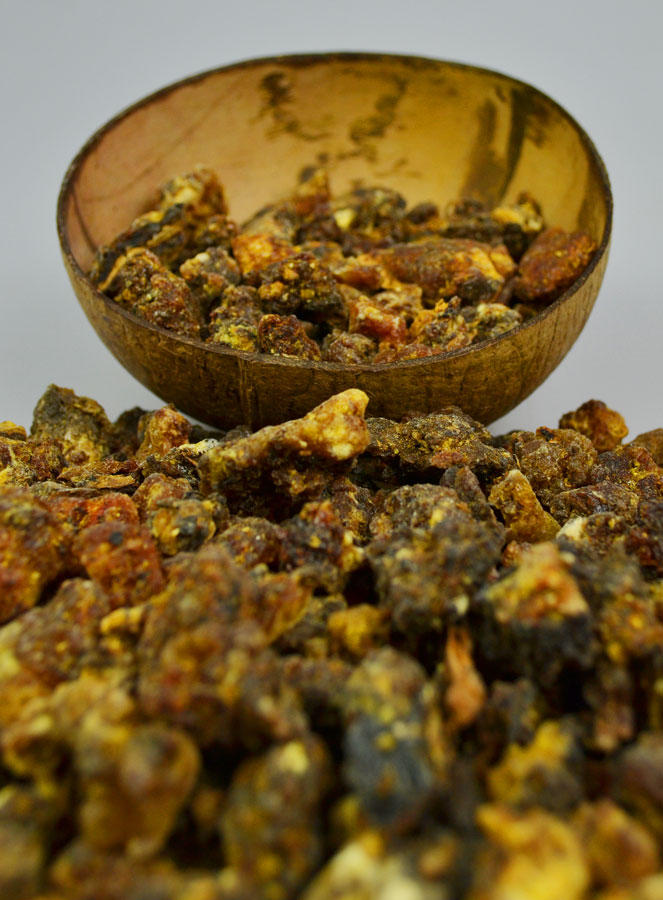 Encens Religieux en Grains Opoponax - 10g (pic 3)