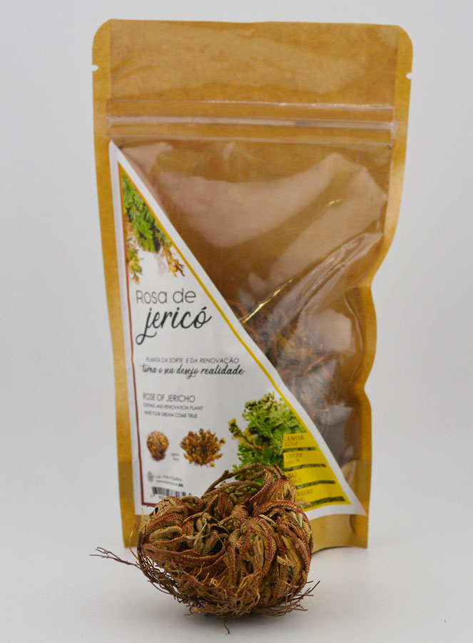 Rose de Jéricho 10g - Plante de Résurrection (pic 1)