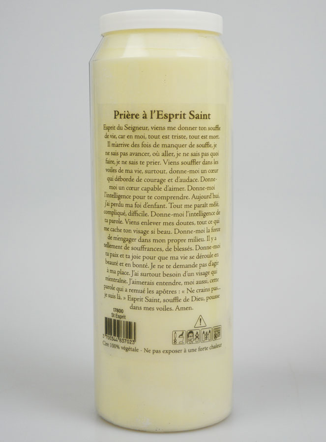 Neuvaine de Confirmation au Saint Esprit (pic 4)