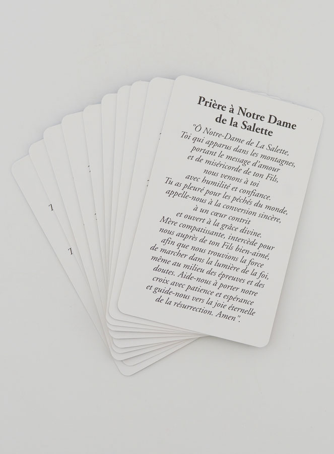 Lot de 10 Cartes de Prière à Notre Dame de la Salette (pic 2)