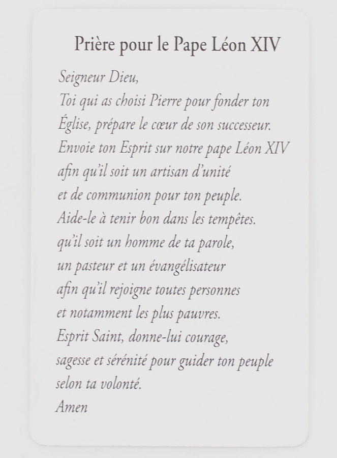 Lot de 10 Cartes de Prière au Pape Léon XIV (pic 4)