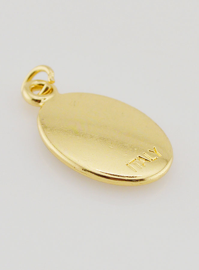 Médaille du Pape Léon XIV Dorée - 25mm (pic 4)