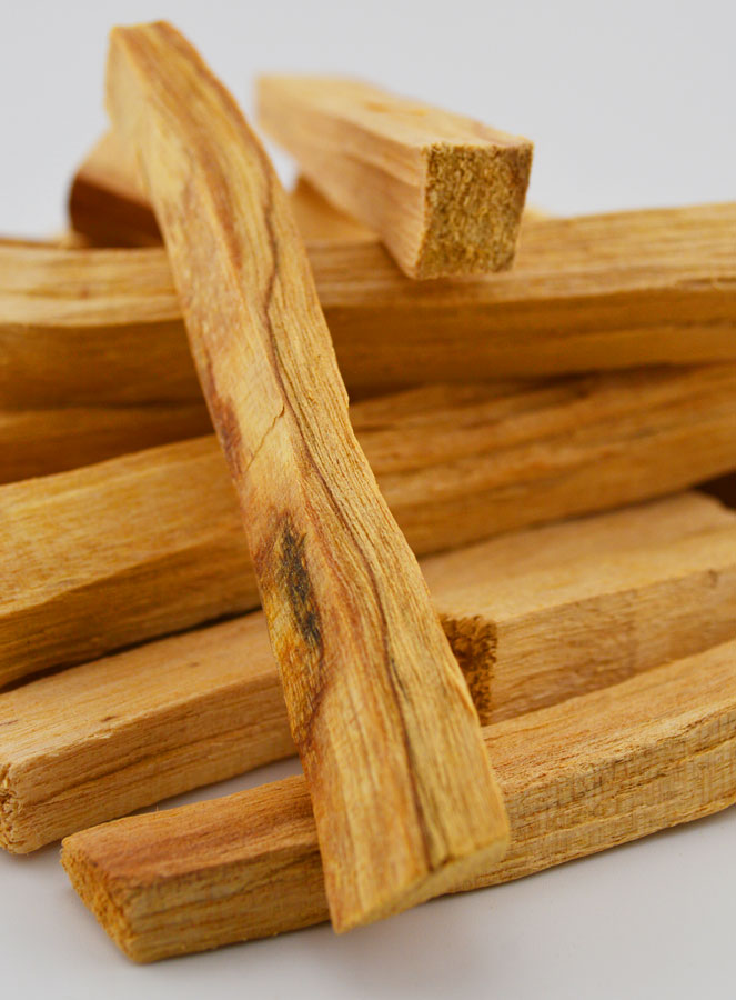 Bâtons Palo Santo - Bois Sacré du Pérou Qualité A - 1kg (pic 4)