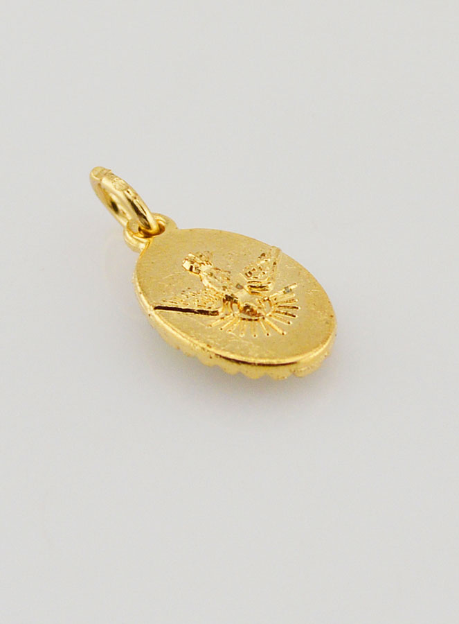 Médaille Bord Torsadé 15mm - Notre Dame de la Salette (pic 4)