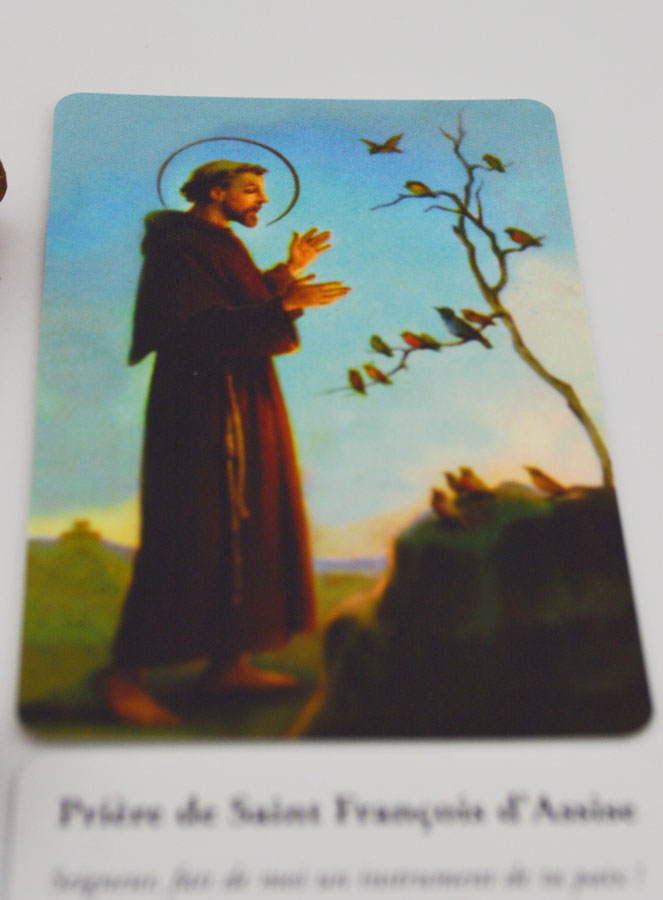 Encens Saint François en Cones (pic 4)