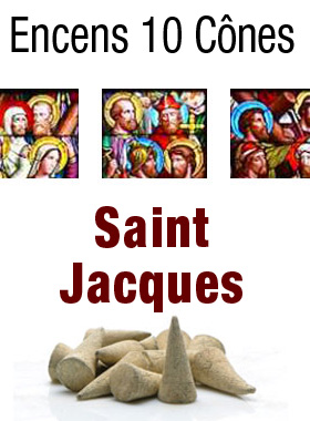 Encens Saint Jacques en Cones (pic 1)