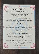 Grande Icône Sainte Famille de Nazareth - 40cm