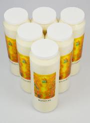Lot de 6 Bougies de Neuvaine Fête de la Toussaint