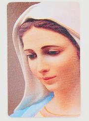 Lot de 10 Cartes de Prière Notre Dame de la Paix