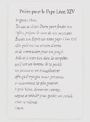 Lot de 10 Cartes de Prière au Pape Léon XIV