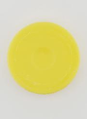 Savon Botanique Citron - 100g