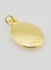 Médaille du Pape François Dorée - 25mm